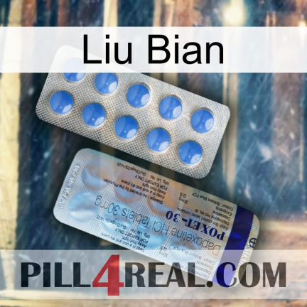 Liu Bian 39